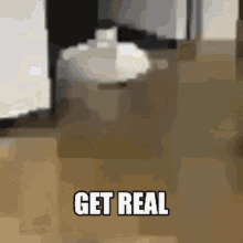 Get Real Gato GIF - Get Real Gato Funny Cat GIFs