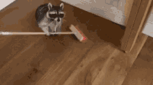 Funny Animals Sweeping GIF - Funny Animals Sweeping Cleaning GIFs