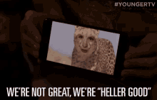 Heller Good Not Great GIF - Heller Good Not Great Cheetah GIFs