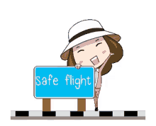 safe flight have a safe flight save travels bye plane