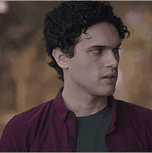 a young man with curly hair is wearing a purple plaid shirt and a green shirt .