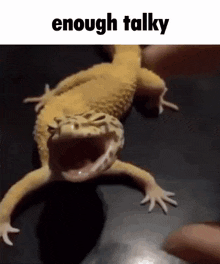 Enough Talky Lizard Funny GIF - Enough Talky Lizard Funny Lizard GIFs