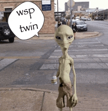 a speech bubble with wp twin written on it
