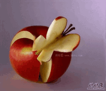apple flower art