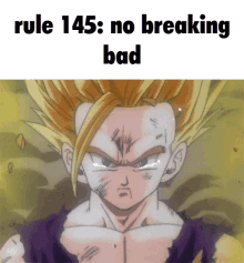 rule145 no breaking bad