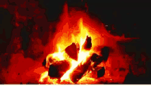 Fuego Fire GIF - Fuego Fire Flame GIFs