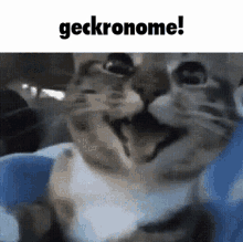 Geckronome GIF - Geckronome GIFs