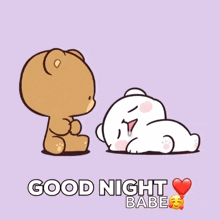a cartoon of a teddy bear kissing another teddy bear with the words good night babe below it