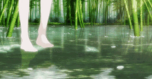 nature pond anime aesthetic water
