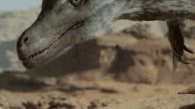 prehistoric planet kaperoo velociraptor david attenborough hans zimmer