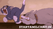 a cartoon of a cat and a dog with the words starttamilchat.in underneath them