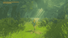 Zelda Breath Of The Wild GIF - Zelda Breath Of The Wild Korok GIFs
