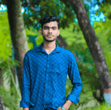 a man in a blue shirt stands in a forest with his hands in his pockets