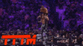 two wrestlers in a ring with the word tim on the bottom right