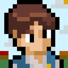 a pixel art drawing of a person with brown hair