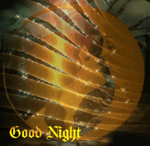 Good Night Sparkle GIF - Good Night Sparkle Kiss GIFs