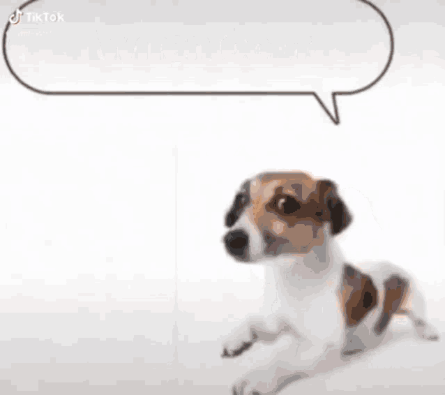 Funny Memes GIF Funny Memes GIF
