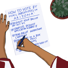 election vote