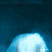 a blurry picture of a person 's face with the words " the watch " at the bottom