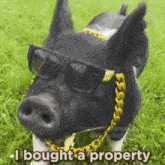 a picture of a pig wearing sunglasses and a gold chain with the words i bought a property below it
