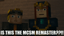 two minecraft characters standing next to each other with the caption " is this the mcsm remaster ? "