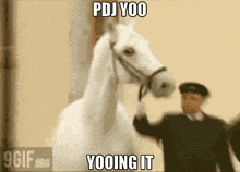 a picture of a white horse with the caption pdjyoo yooing it
