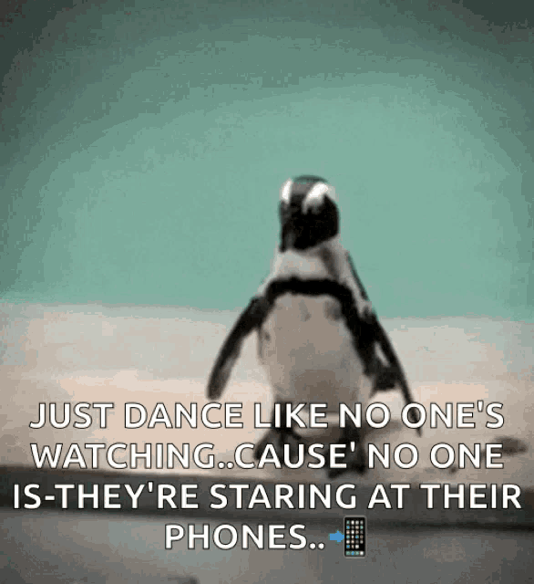 penguin-dance-like-no-ones-watching.gif