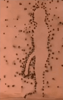 a close up of a drawing of a person with dots on it