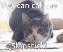 Slapstick GIF - Slapstick GIFs