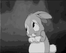 Thỏ Xinlỗi Nướcmắt Buồn Khóc GIF - Bunny Sorry Rabbit GIFs