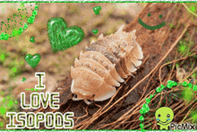 I Love Isopods Spiky Isopod GIF - I Love Isopods Spiky Isopod Silly GIFs