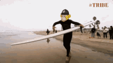 Tribe Surf GIF - Tribe Surf GIFs