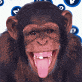 Monyet GIF