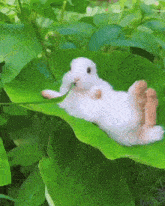 a small white rabbit is laying on a green leaf with its mouth open .