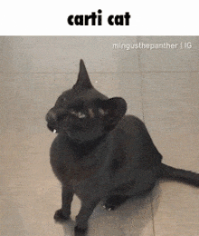 Carti Cat Vampire GIF