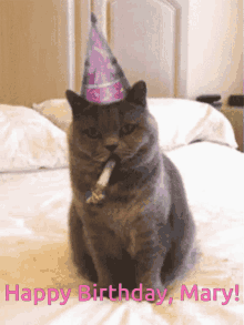 Marys Birthday Cat GIF