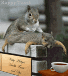 two squirrels are laying on a fence next to a sign that says " nutty hedgehog health farm and spa "