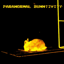 Paranormal Activity GIF - Paranormal Activity Bunntivity GIFs