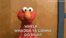 elmo from sesame street is standing in front of a wall and says `` whelp ... whadda ya gonna do right '' .