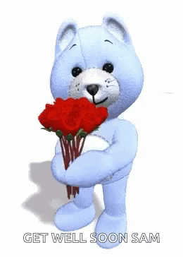 Get Well Soon -- Teddy Bear with Red Flowers :: Get Well