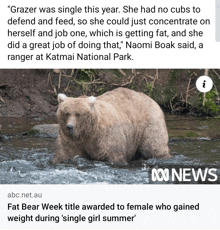 an abc news article about grazer 's weight gain