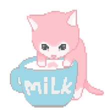 milk cat play drink