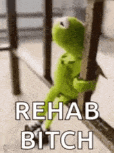 kermit the frog is sitting on a railing with the words `` rehab bitch '' written above him .