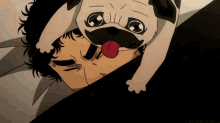 Space Brothers 犬　舐める　舌　顔を舐める GIF