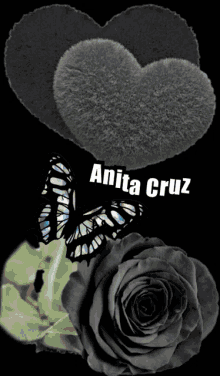 a picture of a black rose a butterfly and a heart with anita cruz written on it