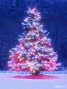Christmas Tree Light GIF - Christmas Tree Light Winter GIFs