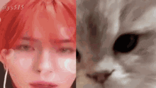 Yoshi Cat Kiss GIF - Yoshi Cat Kiss GIFs