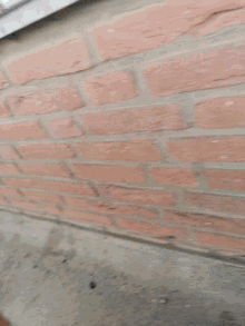 Wall Bricks GIF - Wall Bricks Shake GIFs