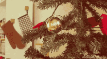 メリークリスマス 猫 ネコ ねこ GIF - Christmas Tree Cat GIFs