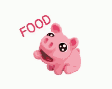 iwantfood feed me pig